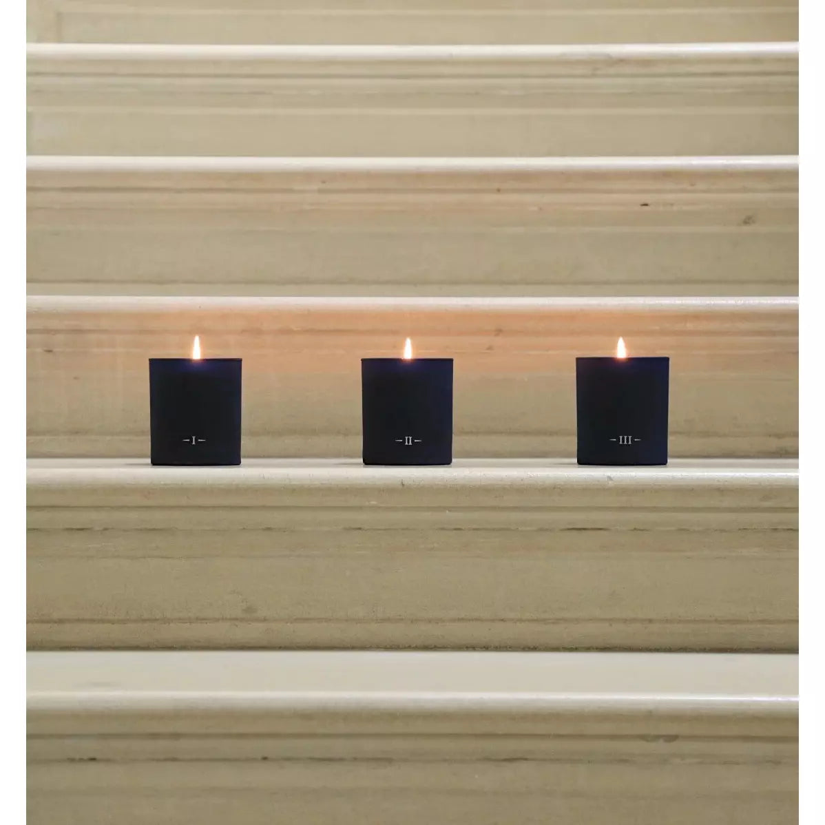 Redolent Fig Signature Scented Candle | Wild Fig and Green Accords