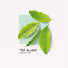 White Tea (The Blanc) Eau de Parfum | 15 ml