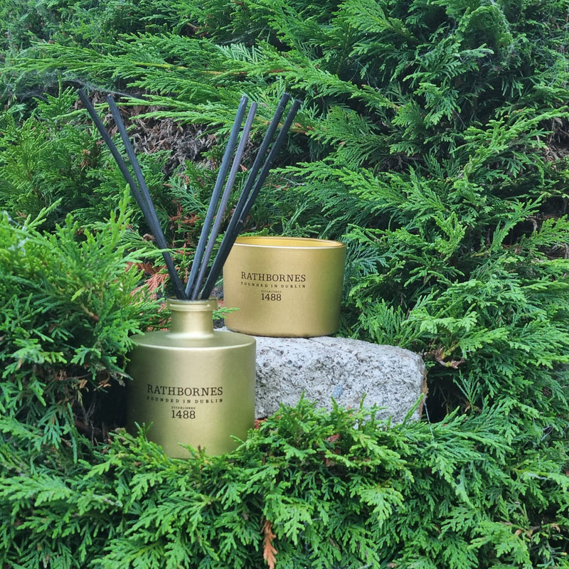 Rathbornes Dublin Christmas Scented Luxury Natural Wax Candle | Eucalyptus, Mint &  Pine