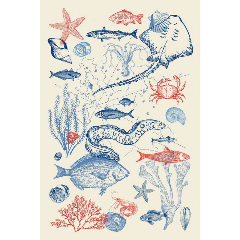 Kitchen Towel Sea Collection - Home Decors Gifts online | Fragrance, Drinkware, Kitchenware & more - Fina Tavola