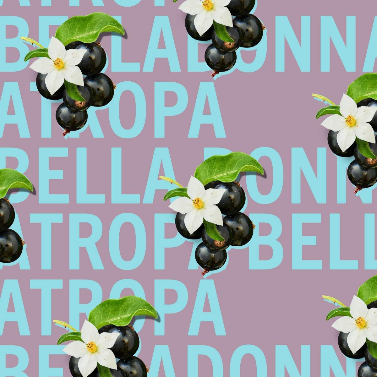 Atropa Belladona Fragrance | 10ml