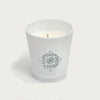 Scented Candle in Porcelain Vase | "A Mid-Summer's Night Under The Fig Tree"