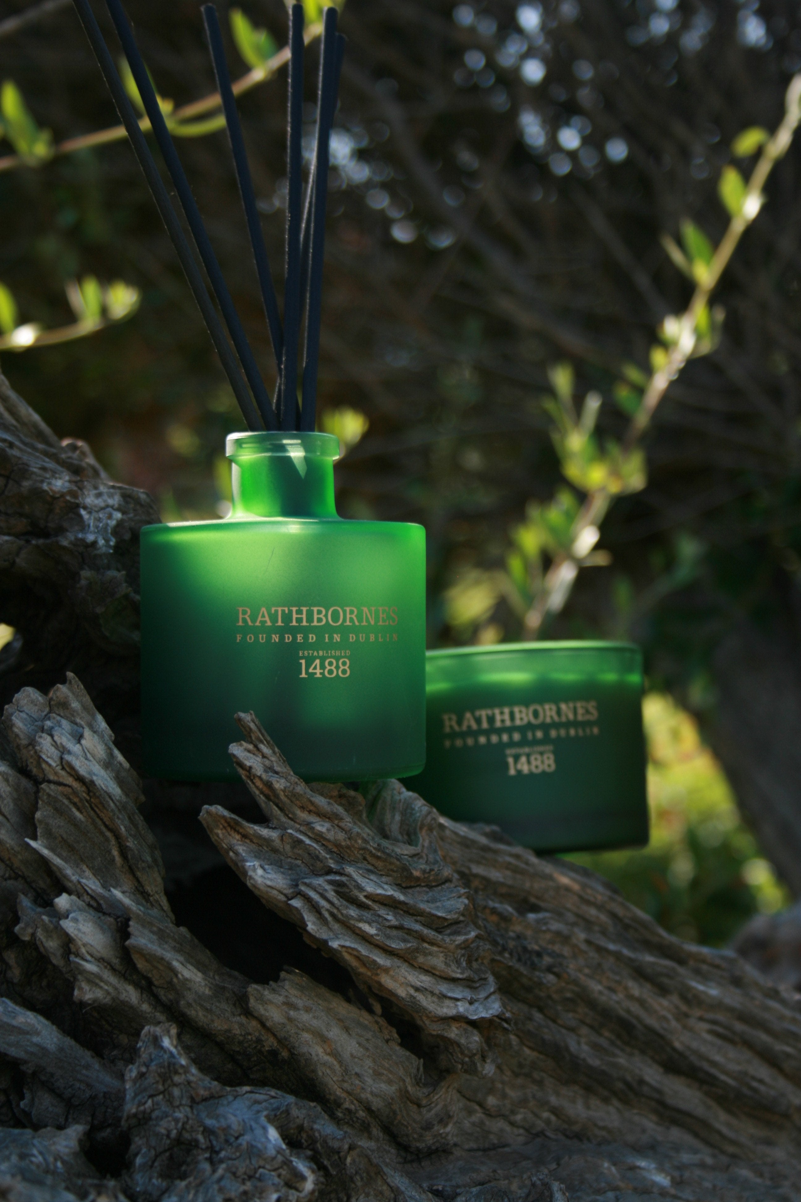 Warm woody Irish scented candle with musk and amber