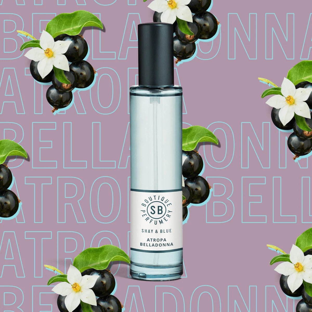 Shay & Blue Spray Fragrance Atropa Belladonna 30ml - Home Decors Gifts online | Fragrance, Drinkware, Kitchenware & more - Fina Tavola