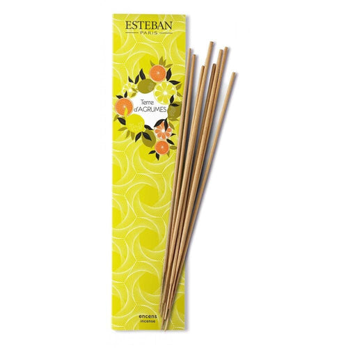 Terre D'Agrumes Bamboo Stick Incense (20 Sticks) - Home Decors Gifts online | Fragrance, Drinkware, Kitchenware & more - Fina Tavola