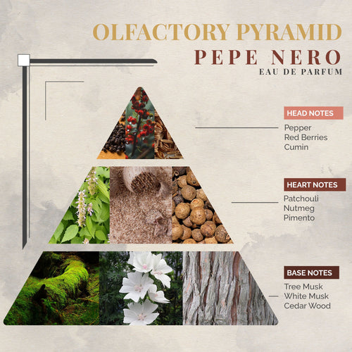 Pepe Nero Eau de Parfum | Black Pepper Masculine Fragrance