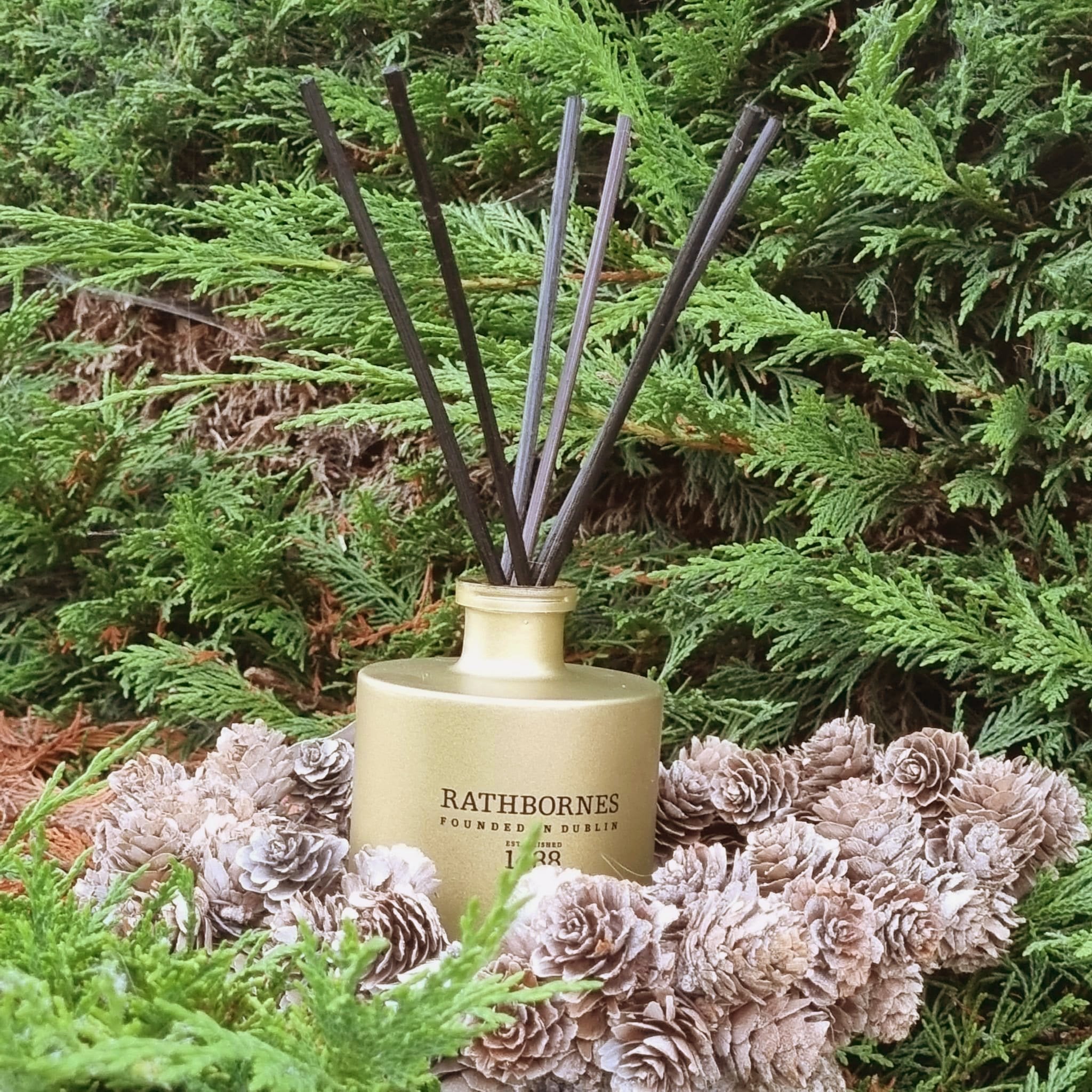 Rathbornes Dublin Christmas oil-based reed diffuser in glass bottle