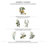 Panier des Sens Body Lotion | Jasmine