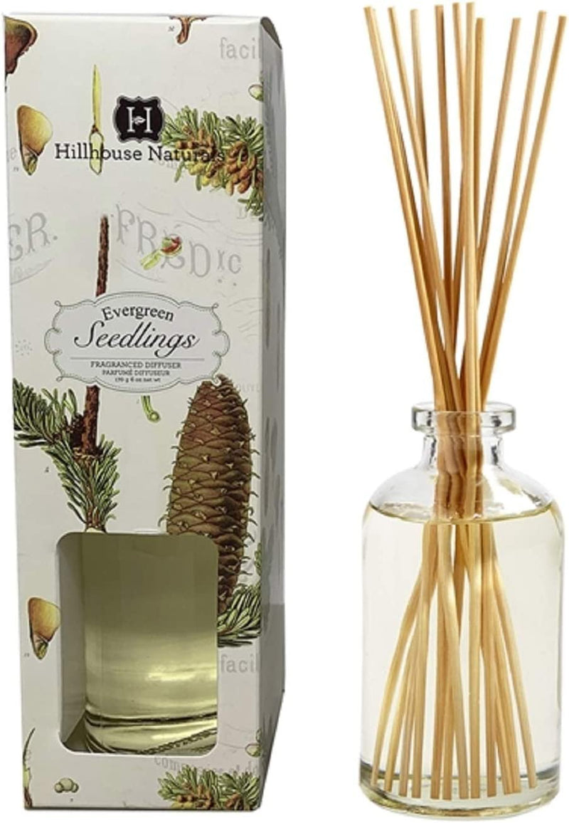 Reed Diffuser | Evergreen Seedling