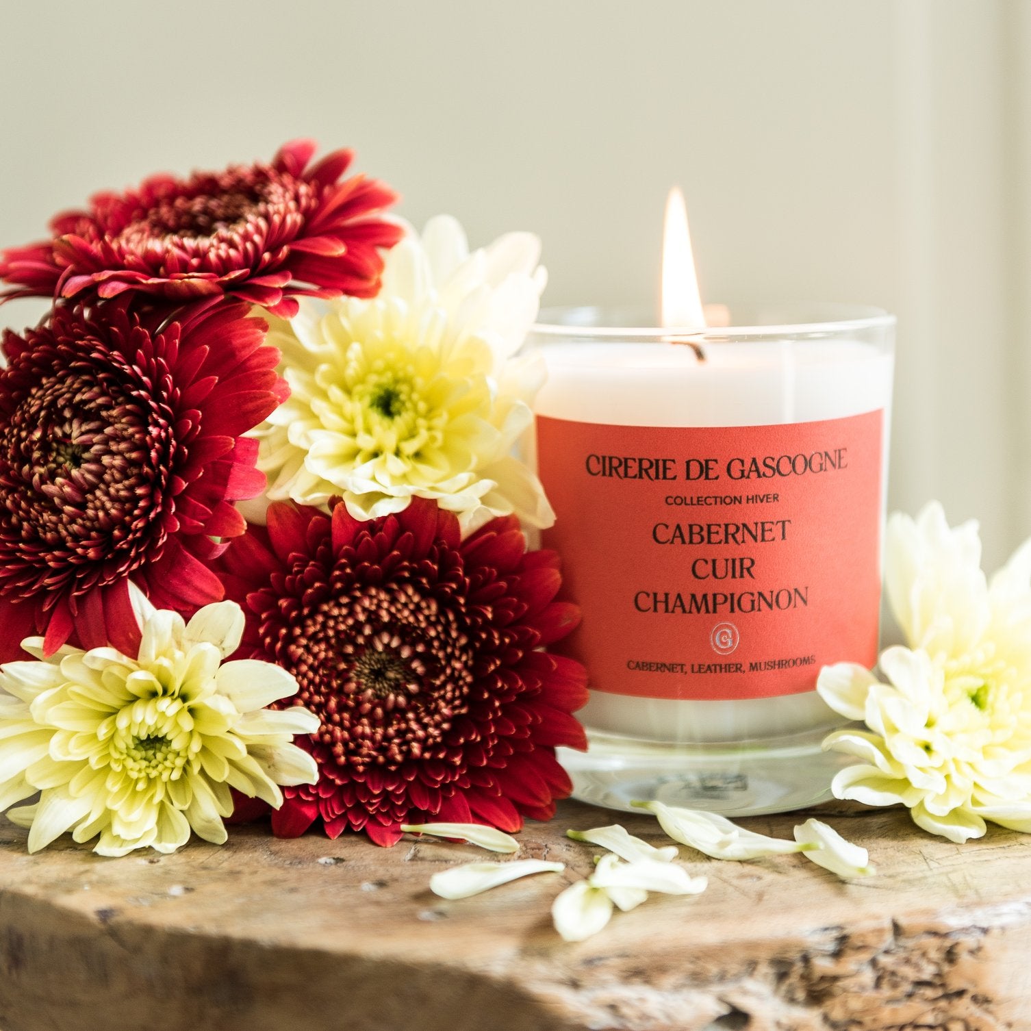 Cirerie de Gascogne Scented Soy Candle Cabernet, Leather, Mushrooms Blend