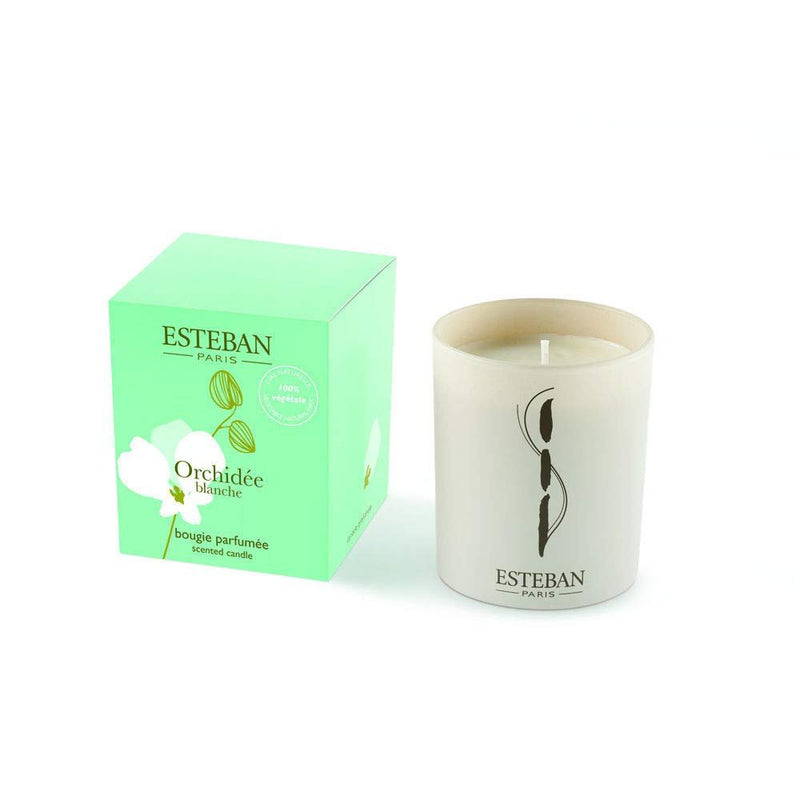 Orchid White Scented Candle - Home Decors Gifts online | Fragrance, Drinkware, Kitchenware & more - Fina Tavola