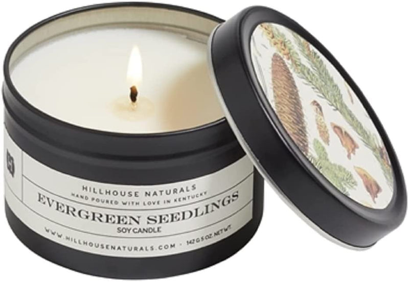 Pine, Juniper & Cedar Wood Scented Soy Candle in a Tin | Evergreen Seedlings