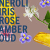 Amber Oud Ahad Fragrance Noir | 10ml